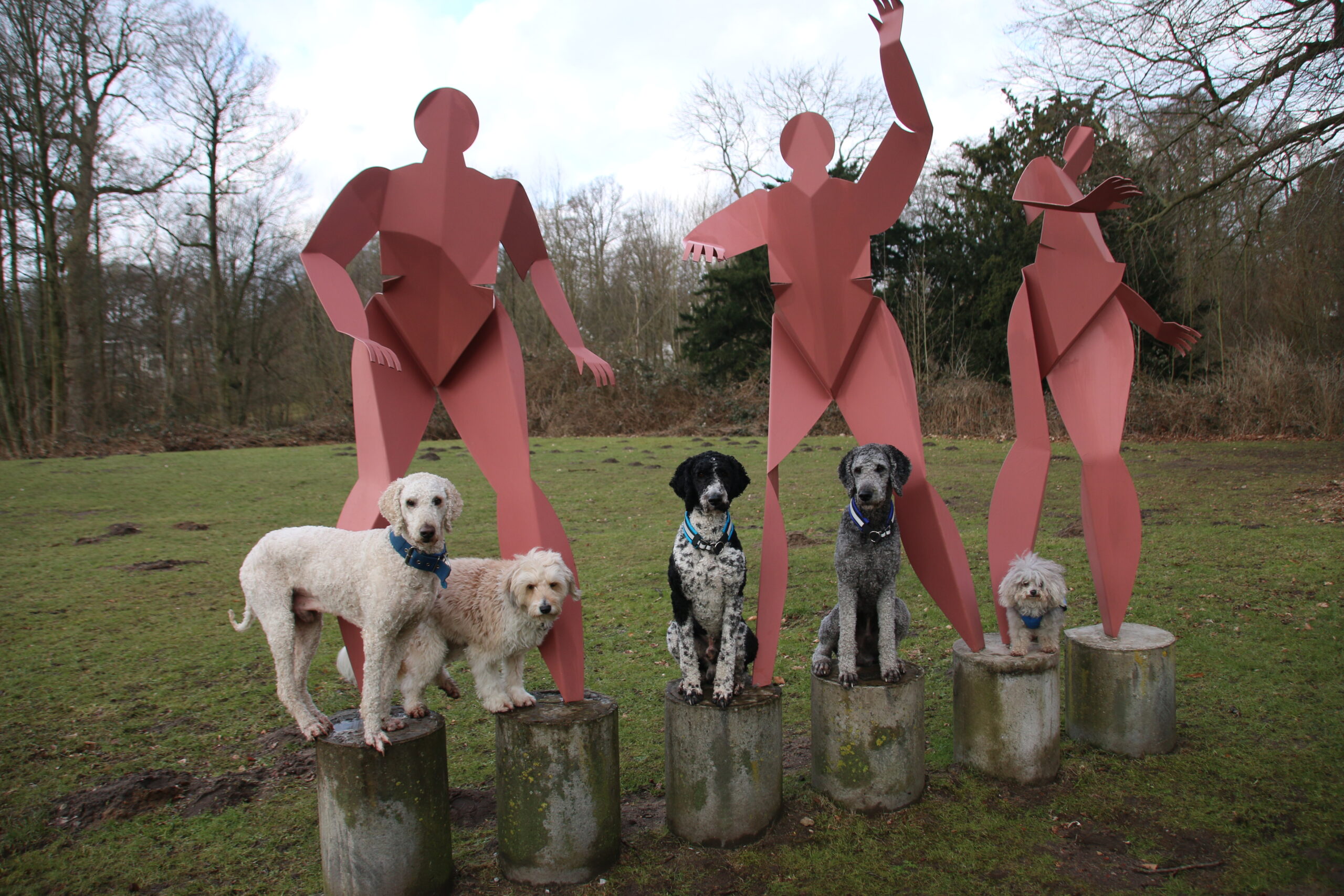 Hunde stehen bzw. sitzen auf den Sockeln einer Skulptur udn schauen zur Kamerafrau.